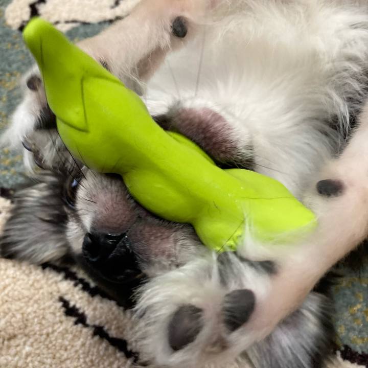 425b900a 1eae 4225 9619 e05c674561d9 1622950565098