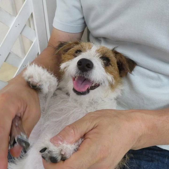 425be9b1 07b7 485c 8e3a b473870d8850 1597240725791