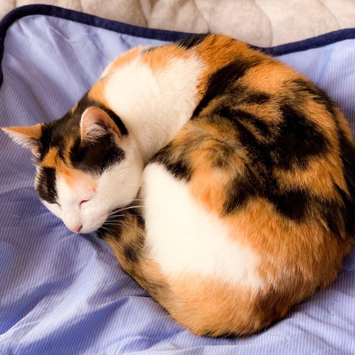 425c086b 00f8 49e8 81cf f5f7fbef8d1a 1566176580262