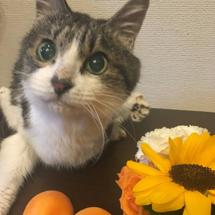 425c1ab5 64c9 4233 9c82 b7a3a8b5f74c 1751317219945