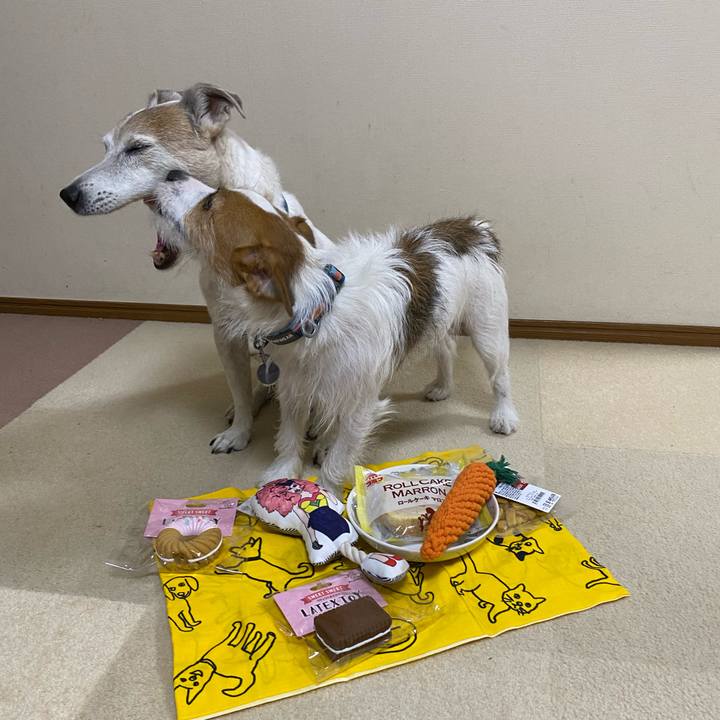 425c45df 9e6d 4d7e 9a74 0fb15aefa4f5 1666958815044