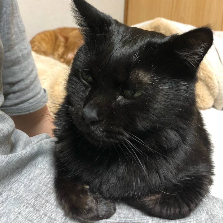 425c5136 2379 44f2 a2b6 53410cce0139 1613216294330