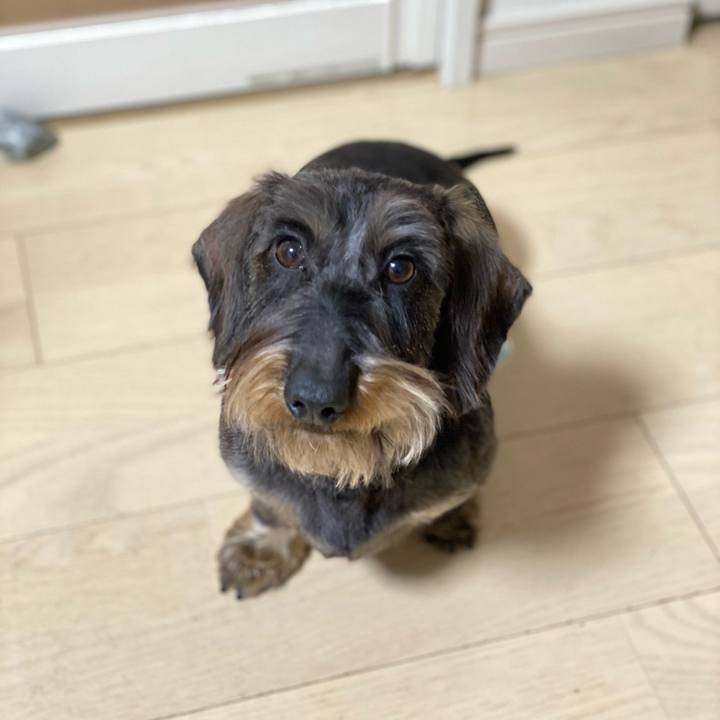 425cf84d fc86 4dc3 acf1 8b9500c2c585 1615727589837