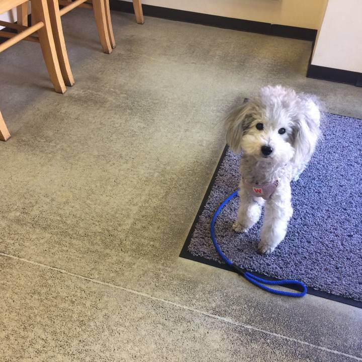 425d4dca 6745 46e0 8a32 e99b7fea2309 1511923455773