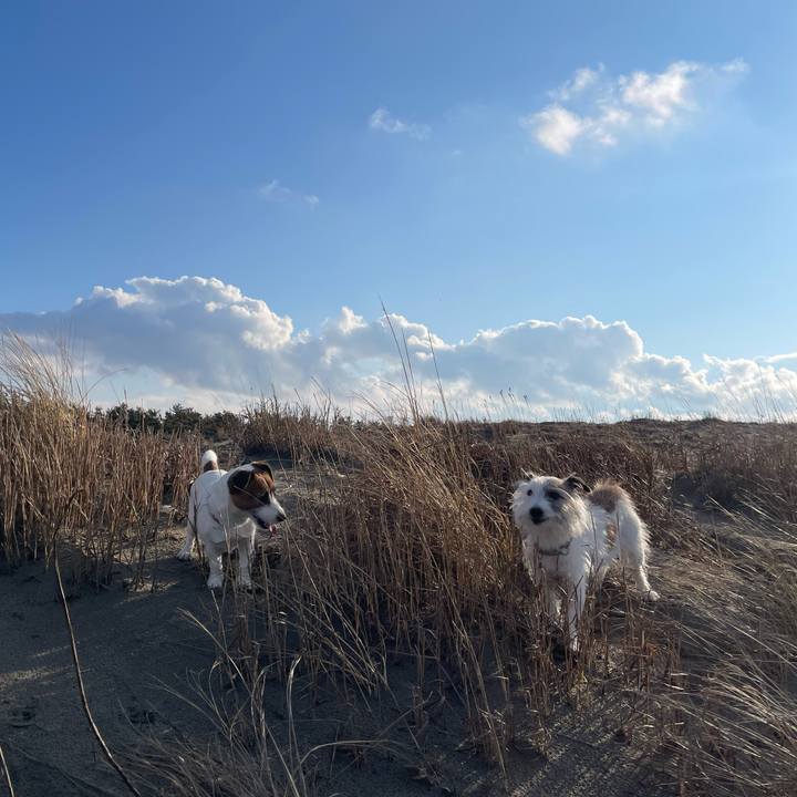 425d5743 b17b 469b 8032 717c3d6562f3 1737541717832