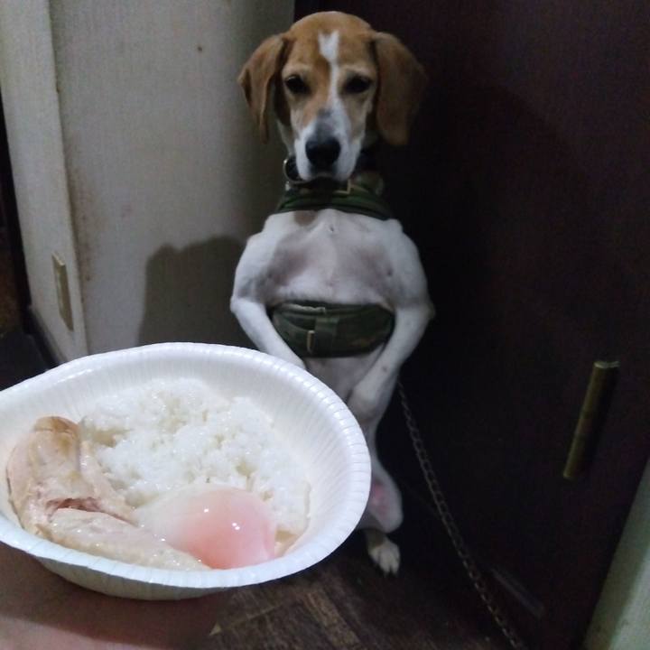 425d57ed 091b 491a b713 c81ad329f966 1686313712927