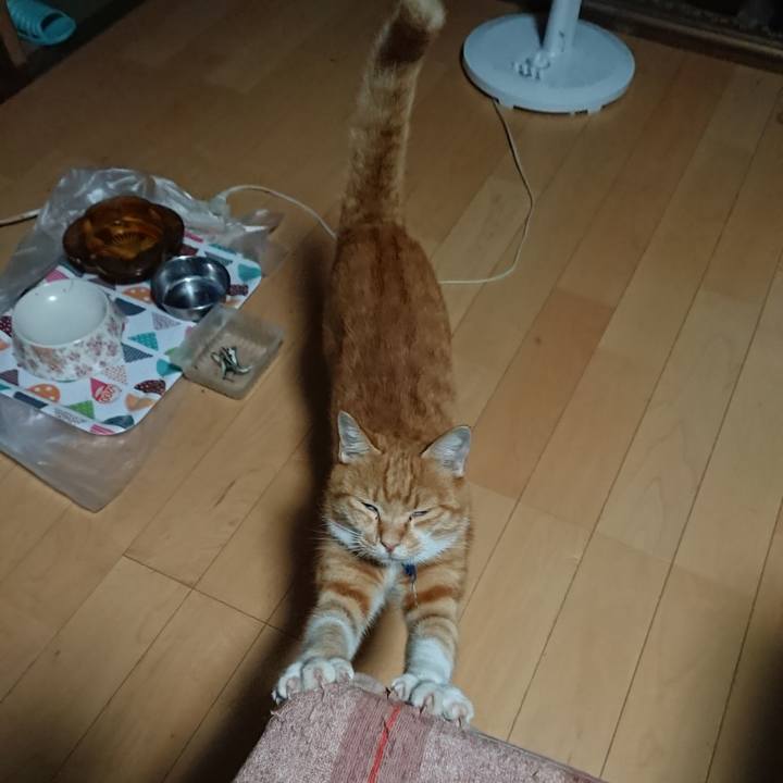 425d72b3 6713 4a84 86d1 5d01b7de3819 1600549973608