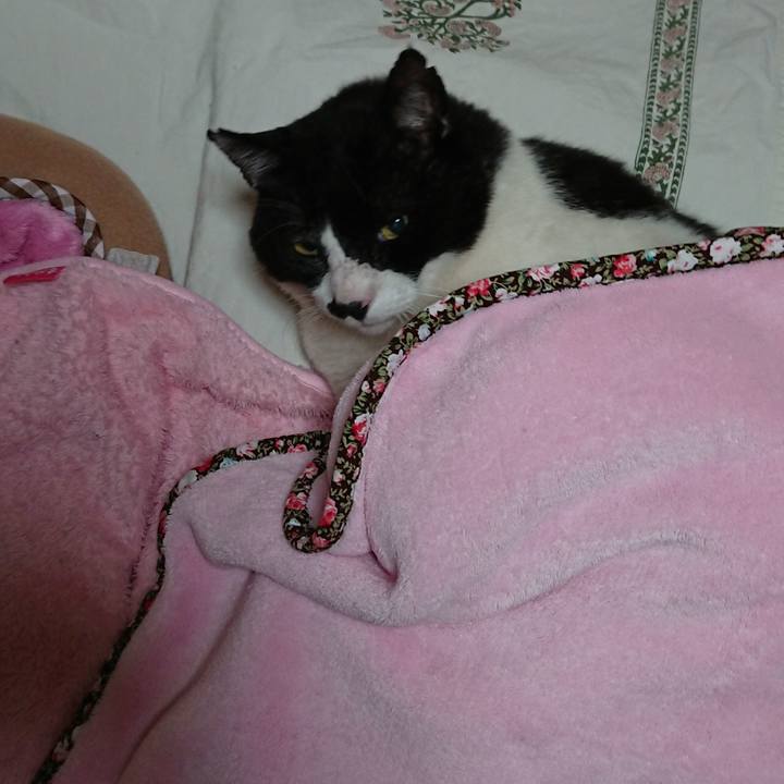 425d801d 0a6c 4b3f 9427 3eeebe3cfddf 1634634160257