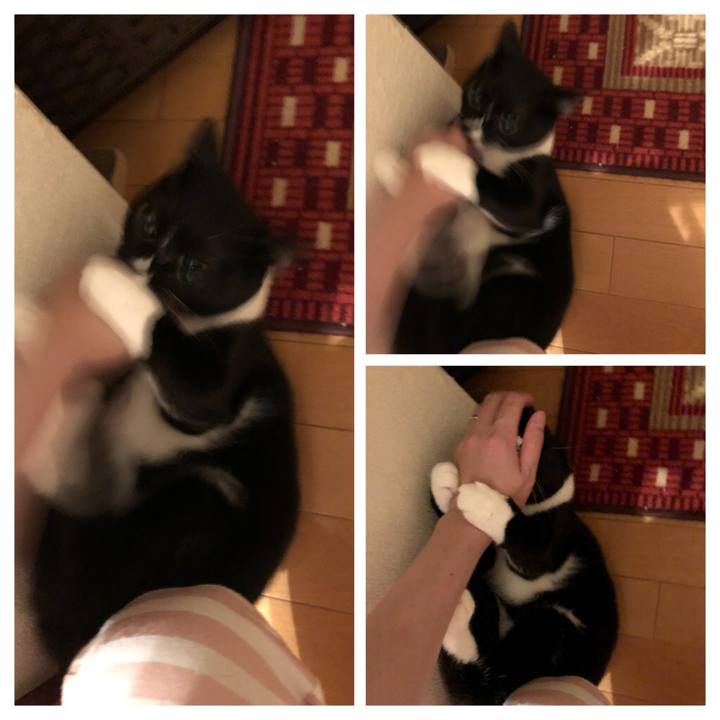 425d827c 3302 44eb 9943 49228067e71b 1535060909422