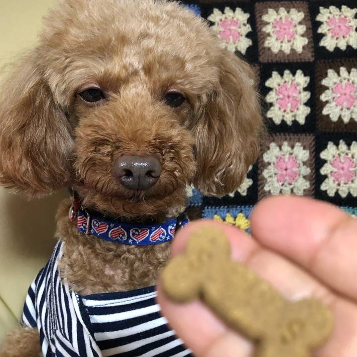 425d9fac 1218 4715 967f 20fb76c2916f 1587366404009