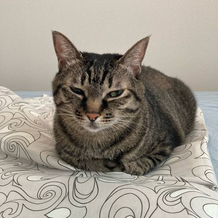 425ddde4 26a6 430a 86df 6507cb1cbba2 1599175362008