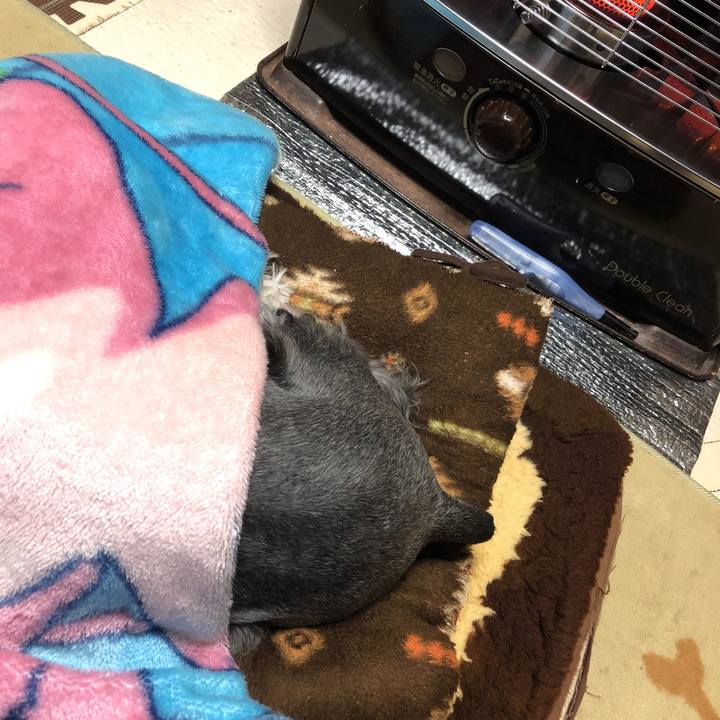 425e481d a051 4c6a be3d 956d1385c5c5 1550922128712