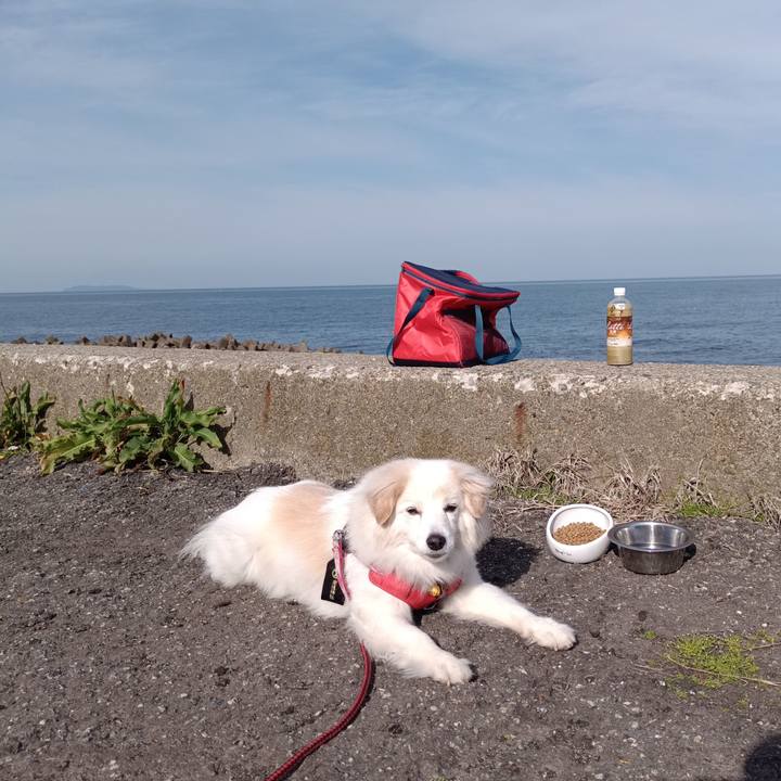 425e5554 37d6 4498 b29c c17bccef6c36 1683068336754