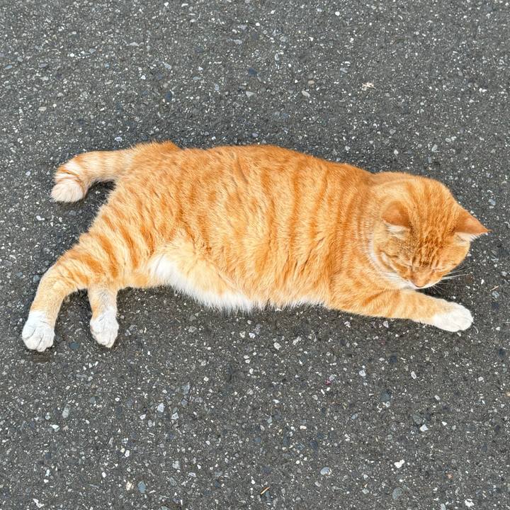 425e843f 14a8 4d13 85fb 59a2d06a46e0 1754431450356