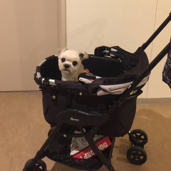 425ebfcc 6df9 4163 8212 78ddeecb32ac 1533203842040