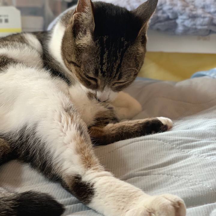 425eeff1 2094 4043 95b8 b60c1a3cdc65 1562893219530