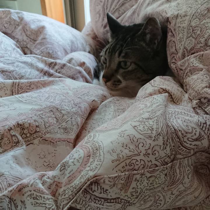 425f21d5 26f1 45dc 85e4 98b49a80dbeb 1578525612263