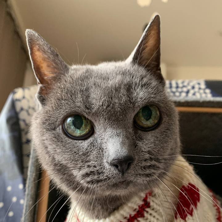 425fbd61 8bba 49ac a1ec 2a75ad6acc1e 1672094469239