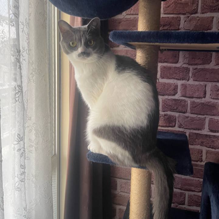 425fc080 100a 493c 9642 6ad286e22757 1703805883407