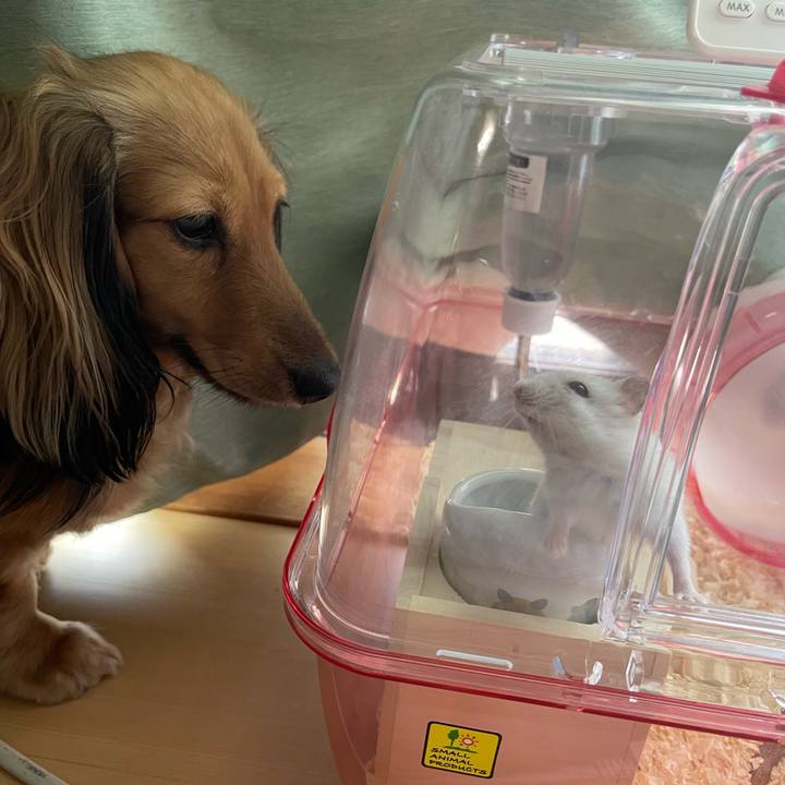 425fe173 b781 4c63 8937 d14604581aaf 1695523236268