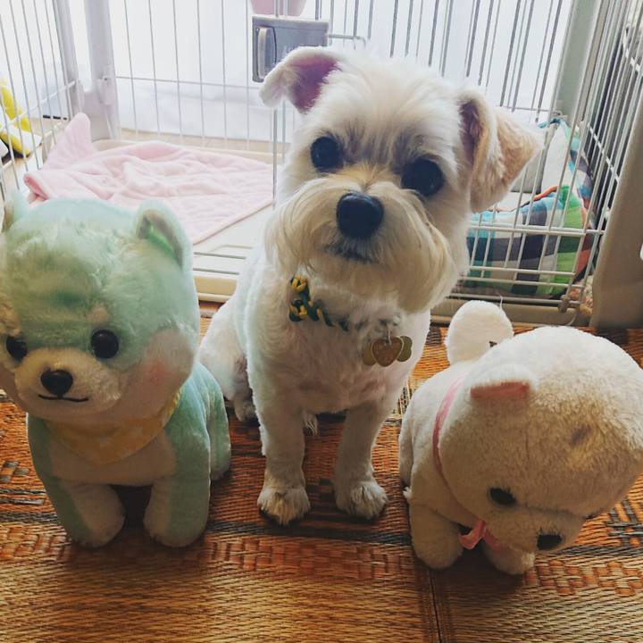 425ffa60 4285 499e a46c 6454f5e779c8 1567930228629