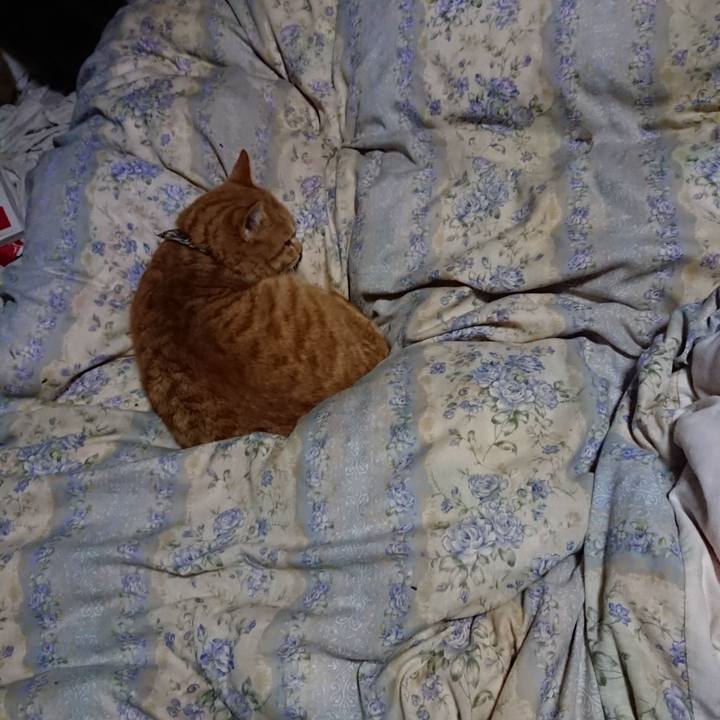 425ffe98 0c68 4ac6 a086 ea53d6112468 1576324592039