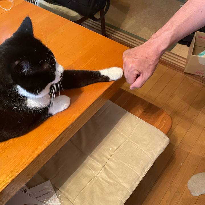 42601fc5 0758 4201 bf59 e3034b801145 1662438380581