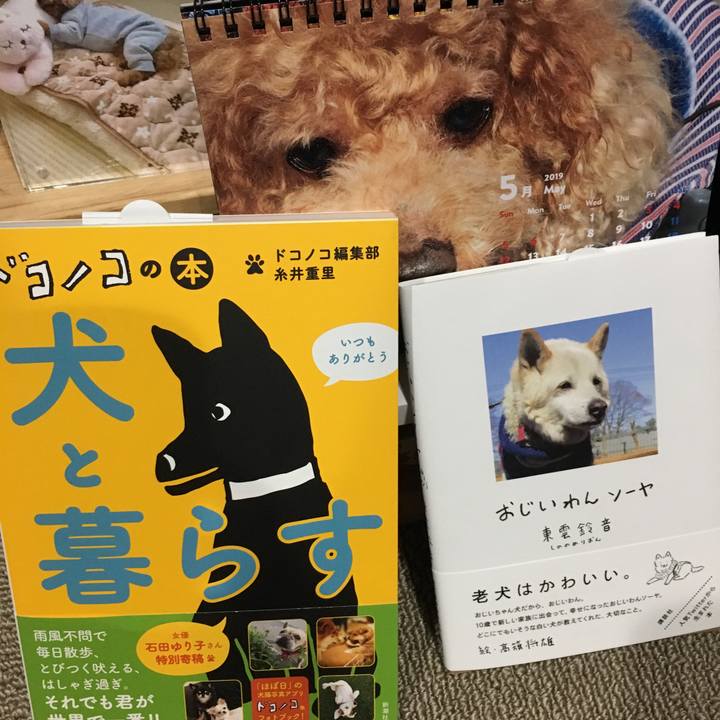 42602438 cbf6 4b1e b90c 456b2478fa79 1558266461935