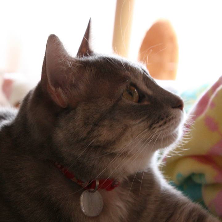 4260271d 147f 415c 968e 04dc96984a3f 1512384296948