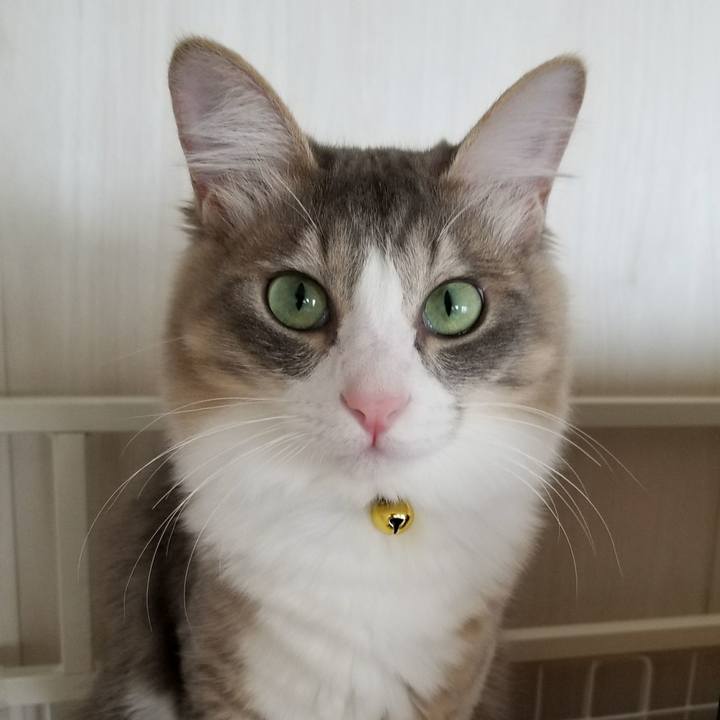 42602d52 c692 489e a51f 403e54a79c83 1519229071922