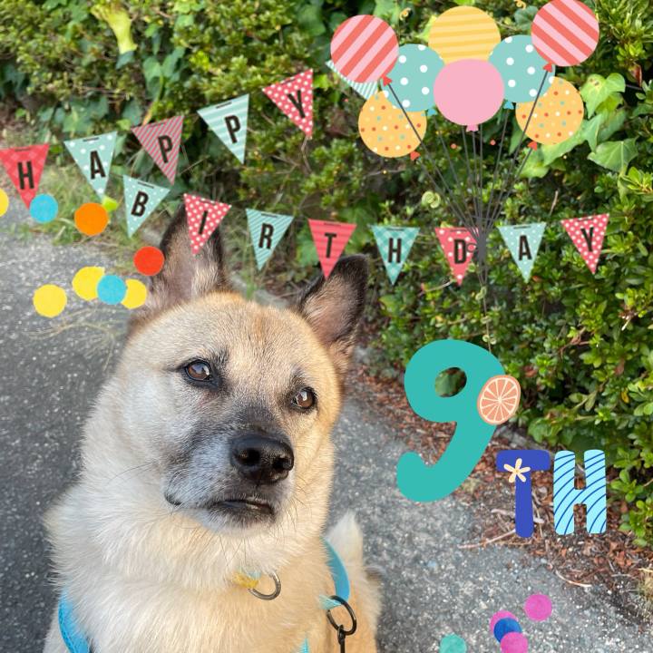 42603653 4209 4de2 a696 44c2bc3dca35 1727784400370