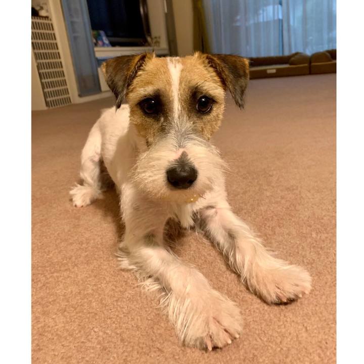 42604e4e 4661 4d4e b8de a7a1f619700e 1603066680892