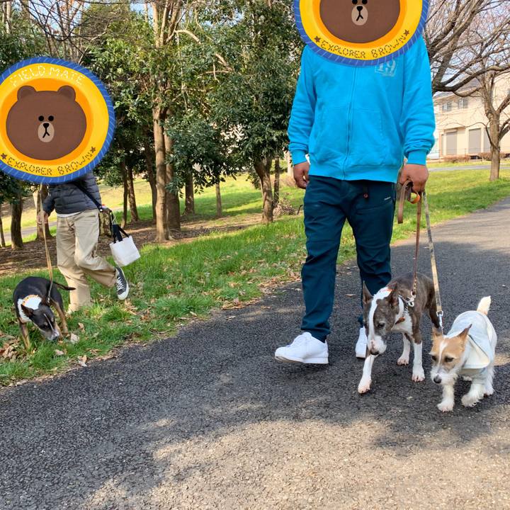 4261324d 5a54 4a23 82a6 8ad5430bc2b9 1583041768786