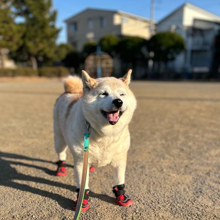 42617009 c53d 4a97 9a94 329c8875da1f 1758606724042