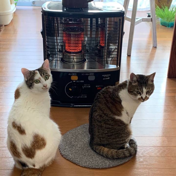 42619998 42e2 4cff 9419 44f62b872b6b 1617576901578