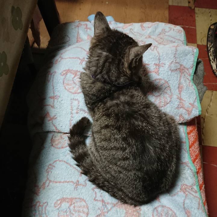 42619a30 99e1 4c21 9bb9 0359524320d0 1589106247152