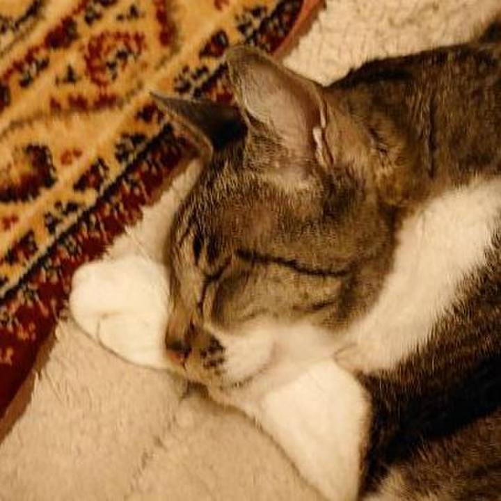 4261a545 7796 4844 bb43 dcc93cb3b272 1708567248756