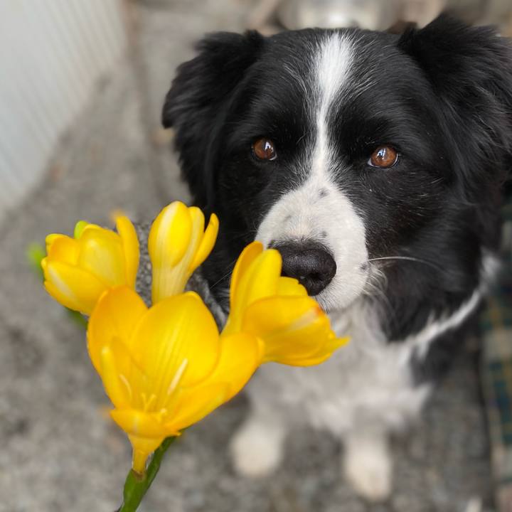 4261d7b7 1477 492e 933e 4632de9f7ead 1615856660611