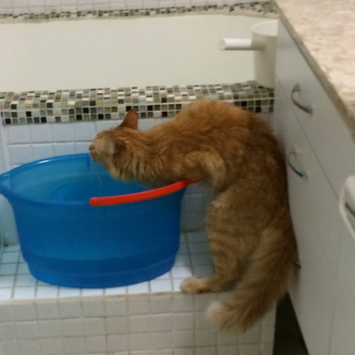 4261ebfd 94de 416d b757 462f7de7bc98 1527703717780