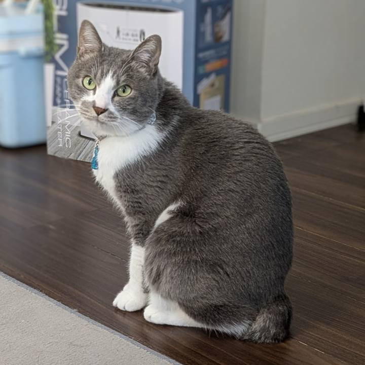 42620f57 d1c6 4b00 87e4 c0e96ae4ff67 1765778395465