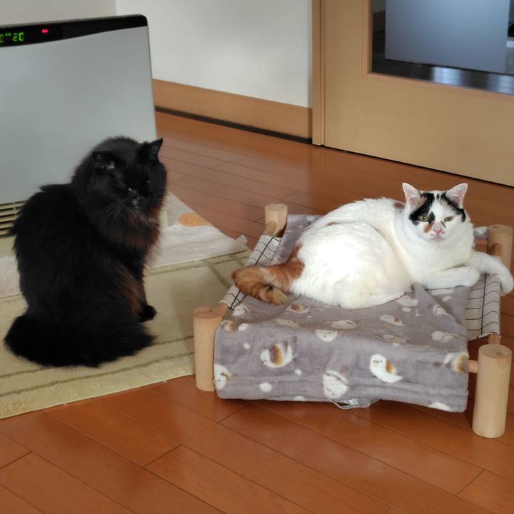 4262199e 976e 404e 97f4 0cb2e3278c50 1767139323885