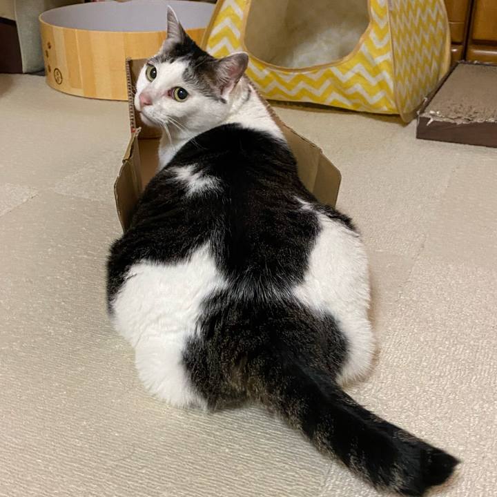 426223a0 15a0 494d 8b75 bd0d86289453 1763719099609