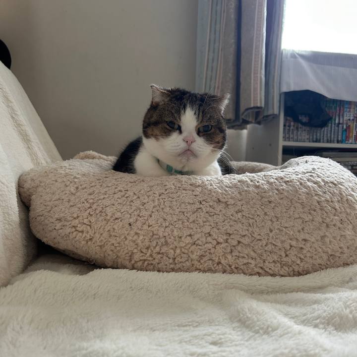 42627693 e164 49e0 b810 fcea5c917f2b 1772255589853