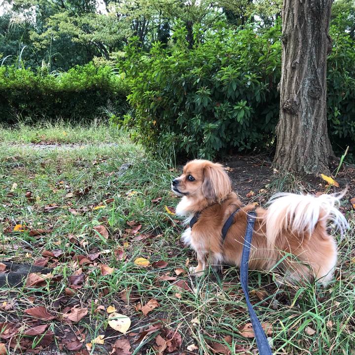 42627755 71a1 4367 8427 83512c945fdb 1569968373703