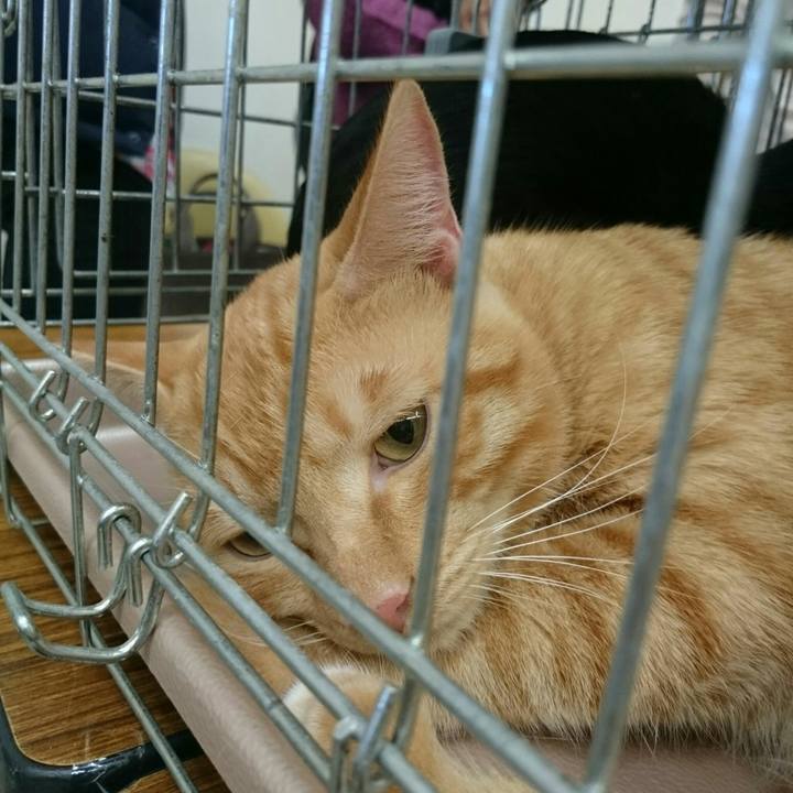 42628452 790f 474e bfcc 771008949f47 1510487366896