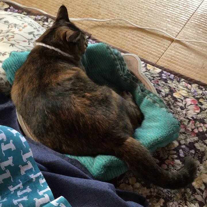 4262915f 4526 4f80 b904 bdb23ab25a24 1746322991808