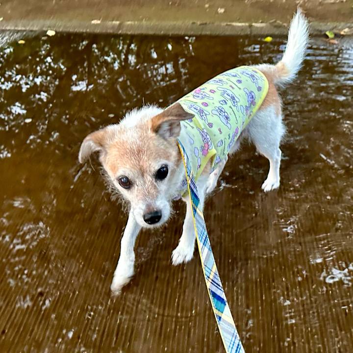 42629663 4e51 4aa3 be8a 85e5ef262b32 1722335105521