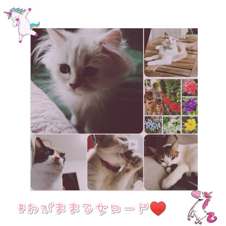 42629ef1 c080 4eb4 9815 c168478c9eb8 1569411593914