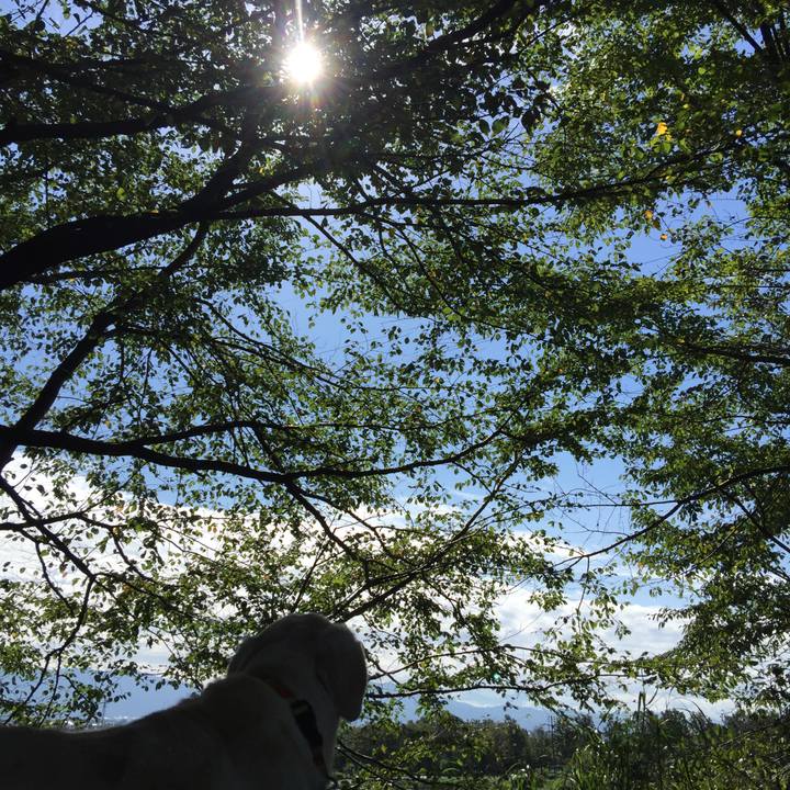 4262a90e 2cad 4c28 8214 f37bf985c5ff 1556874029934