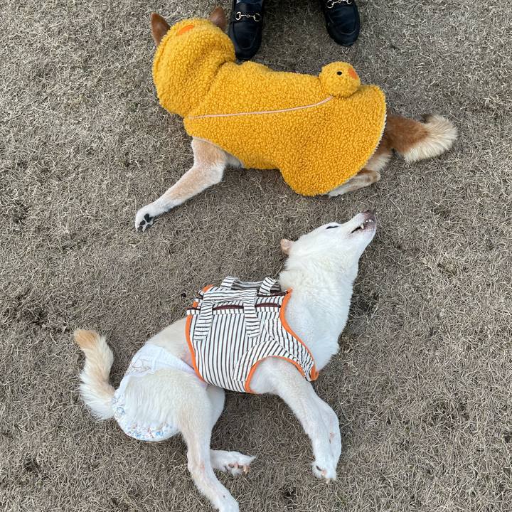 42631119 cd9e 4ff6 91f9 82808a54e901 1676208632748